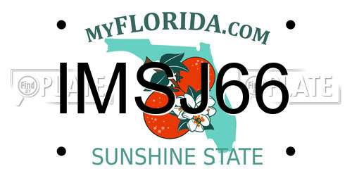 IMSJ66 Florida License Plate