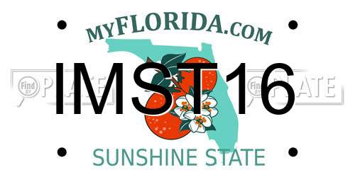 IMST16 Florida License Plate