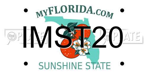 IMST20 Florida License Plate