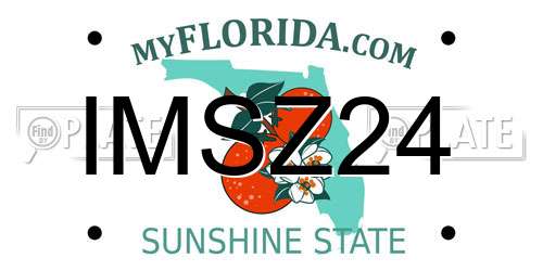 IMSZ24 Florida License Plate