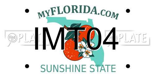 IMT04 Florida License Plate