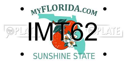 IMT62 Florida License Plate