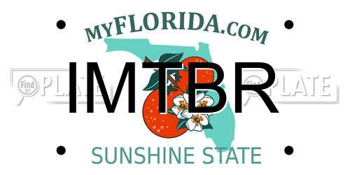 IMTBR Florida License Plate