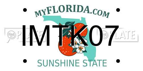 IMTK07 Florida License Plate