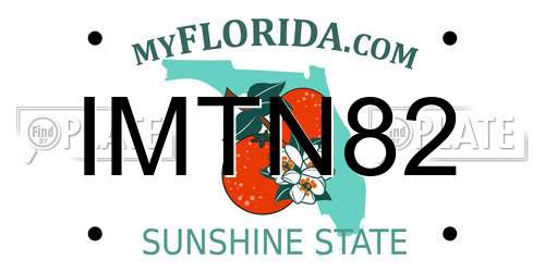 IMTN82 Florida License Plate