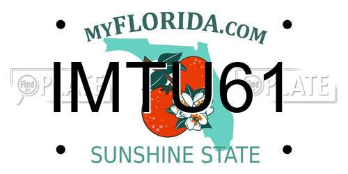 IMTU61 Florida License Plate