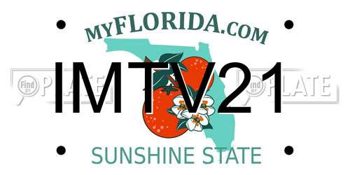 IMTV21 Florida License Plate