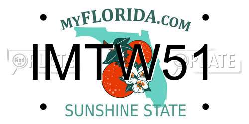 IMTW51 Florida License Plate