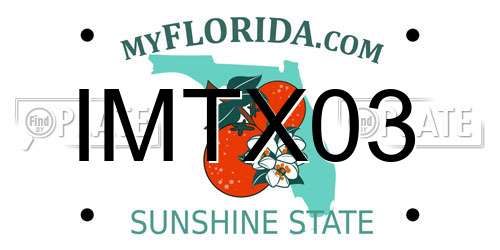 IMTX03 Florida License Plate