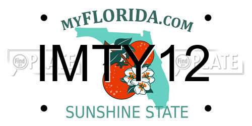 IMTY12 Florida License Plate