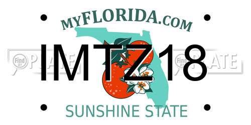 IMTZ18 Florida License Plate