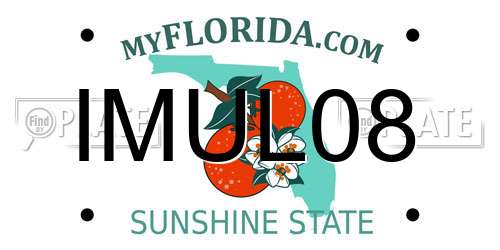 IMUL08 Florida License Plate