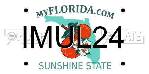 IMUL24 Florida License Plate