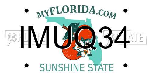 IMUQ34 Florida License Plate