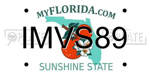 IMVS89 Florida License Plate