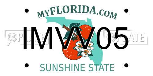 IMVV05 Florida License Plate