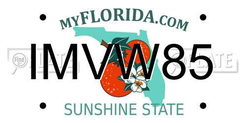 IMVW85 Florida License Plate