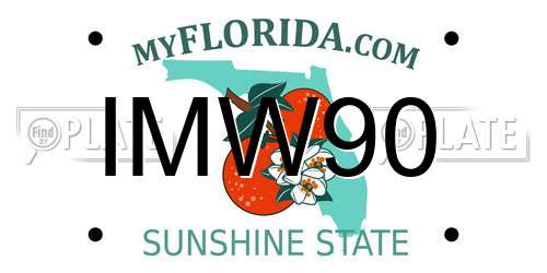 IMW90 Florida License Plate