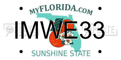 IMWE33 Florida License Plate
