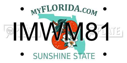 IMWM81 Florida License Plate