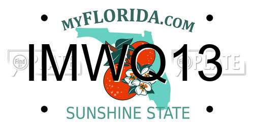IMWQ13 Florida License Plate