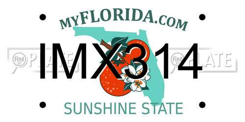 IMX314 Florida License Plate