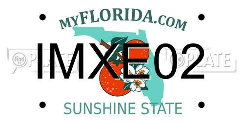IMXE02 Florida License Plate