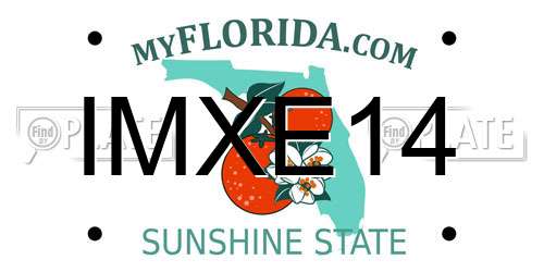 IMXE14 Florida License Plate