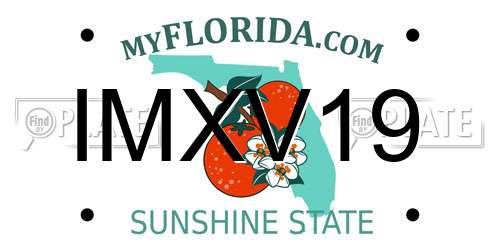 IMXV19 Florida License Plate