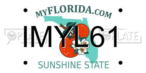 IMYL61 Florida License Plate