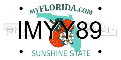 IMYY89 Florida License Plate