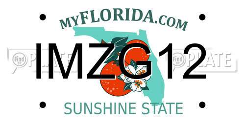 IMZG12 Florida License Plate