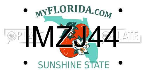 IMZJ44 Florida License Plate