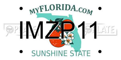 IMZP11 Florida License Plate