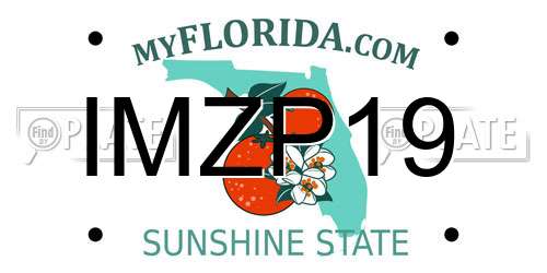 IMZP19 Florida License Plate