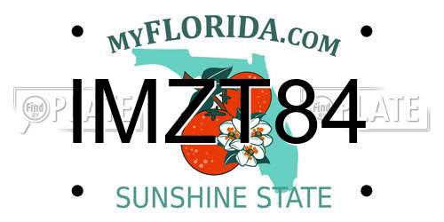IMZT84 Florida License Plate