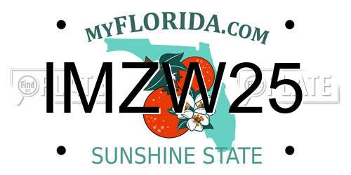 IMZW25 Florida License Plate