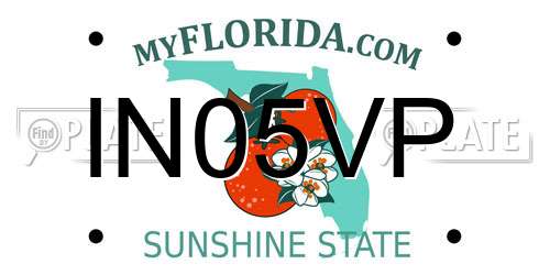 IN05VP Florida License Plate