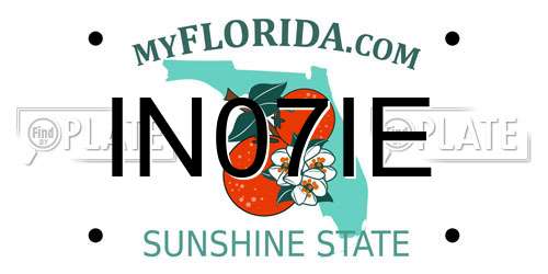 IN07IE Florida License Plate
