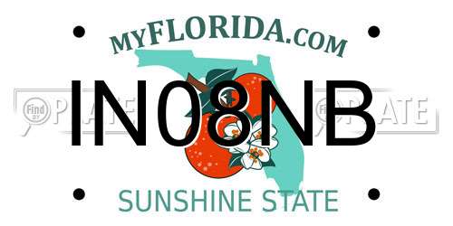 IN08NB Florida License Plate