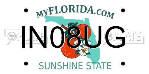 IN08UG Florida License Plate