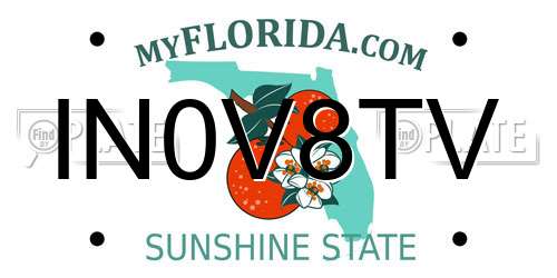 IN0V8TV Florida License Plate