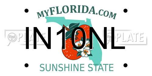 IN10NL Florida License Plate