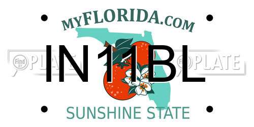 IN11BL Florida License Plate