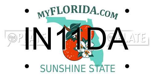 IN11DA Florida License Plate