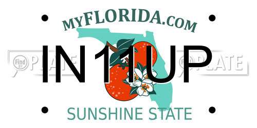IN11UP Florida License Plate