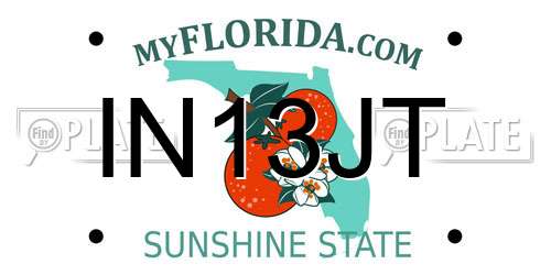 IN13JT Florida License Plate