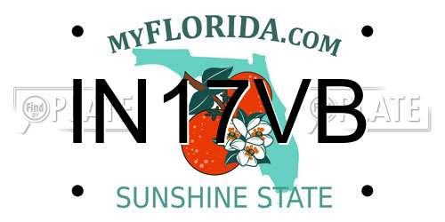 IN17VB Florida License Plate