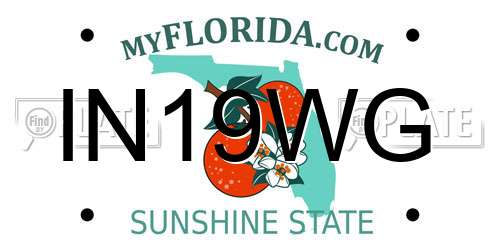 IN19WG Florida License Plate
