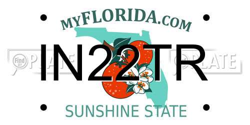 IN22TR Florida License Plate